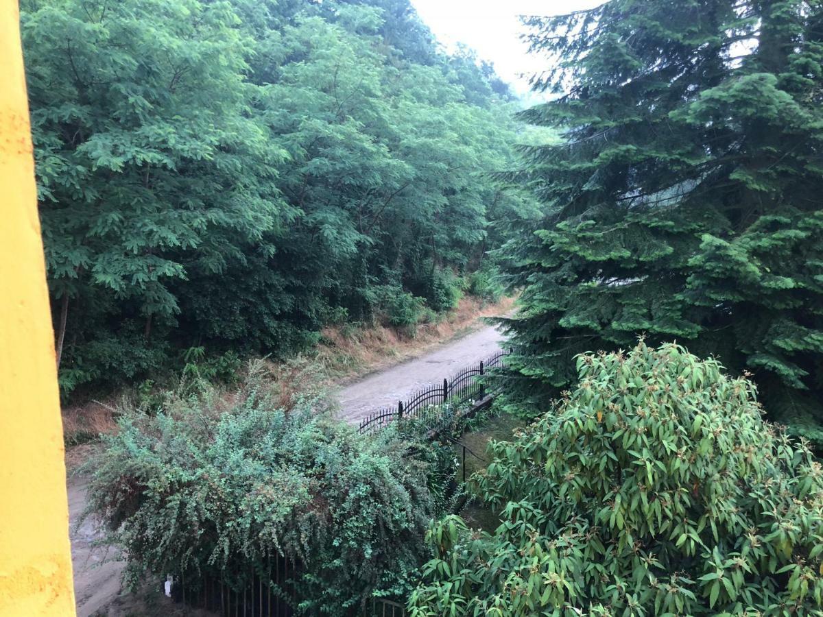 리버사이드 인 호텔 Oderberg 외부 사진